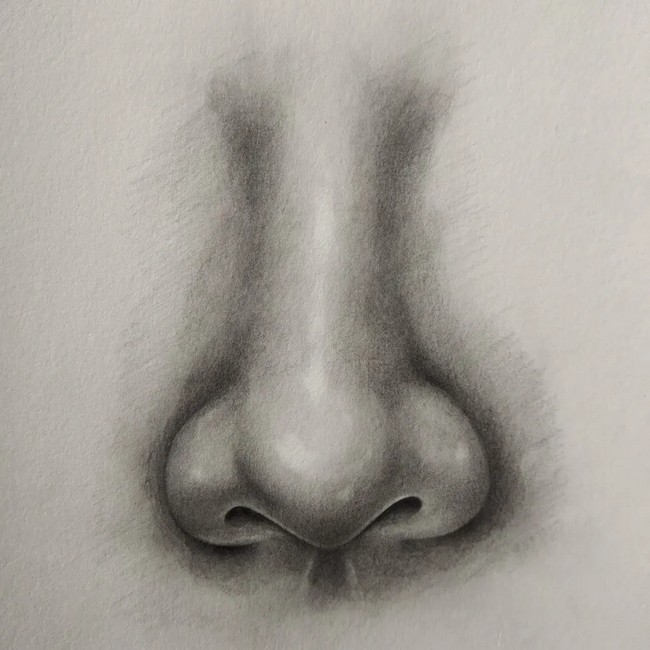 20 Nose Drawing Ideas For Drawing Enthusiasts - DIYnCrafty