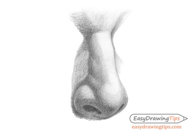 How To Draw & Shade A Nose In Three Quarter View