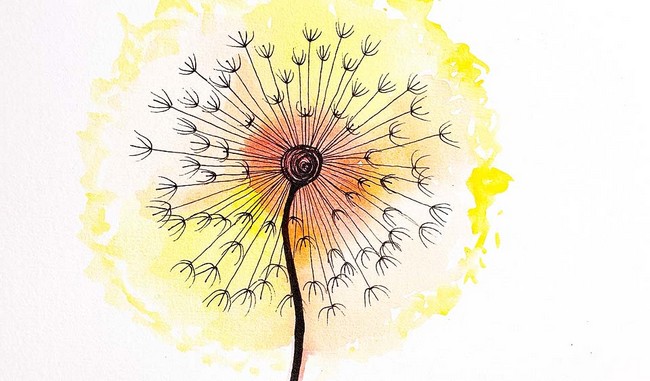 Learn Dandelion Drawing In 6 Easy Steps