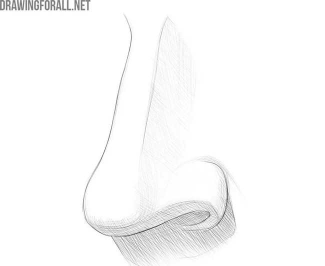 How To Draw A Nose – Step-by-Step Guide – Artlex