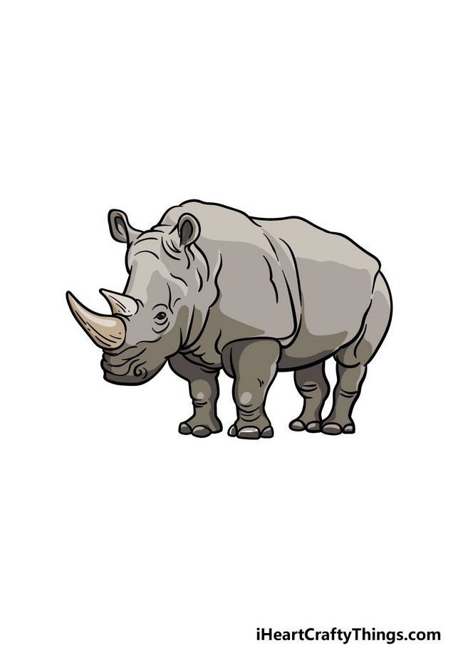 Simple Rhino Drawing