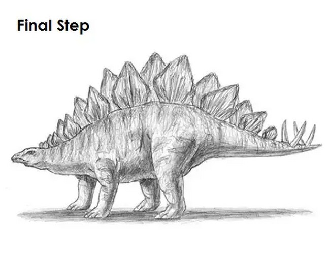 Stegosaurus Drawing