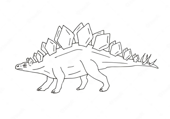 Vector Hand Drawn Sketch Stegosaurus Dinosaur