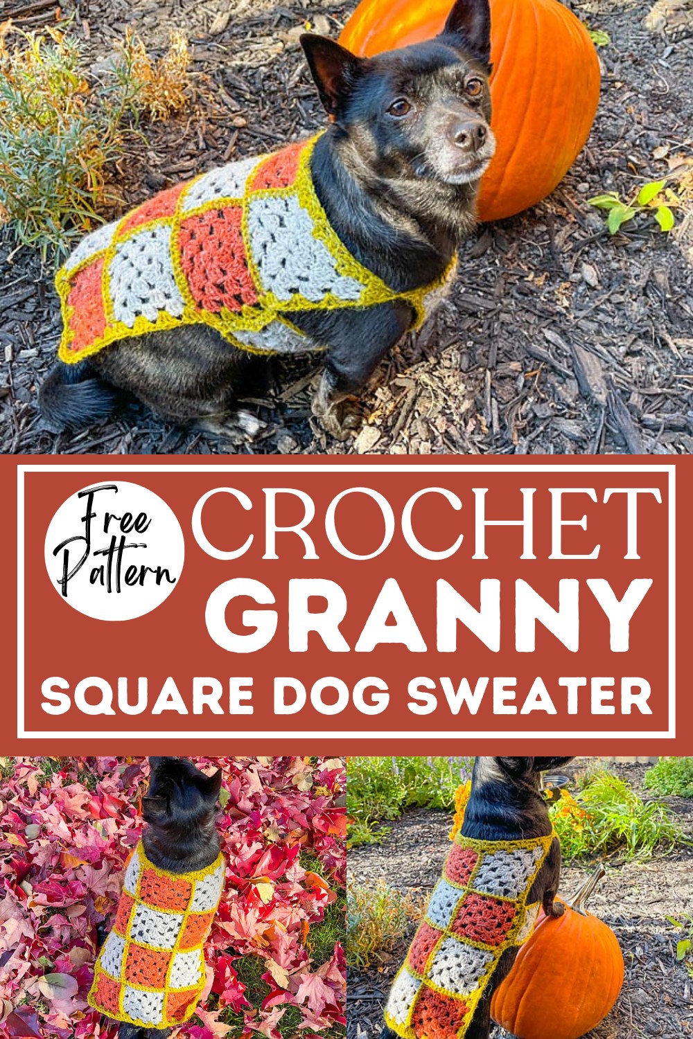 15 Free Crochet Dog Sweater Patterns For Winter DIYnCrafty