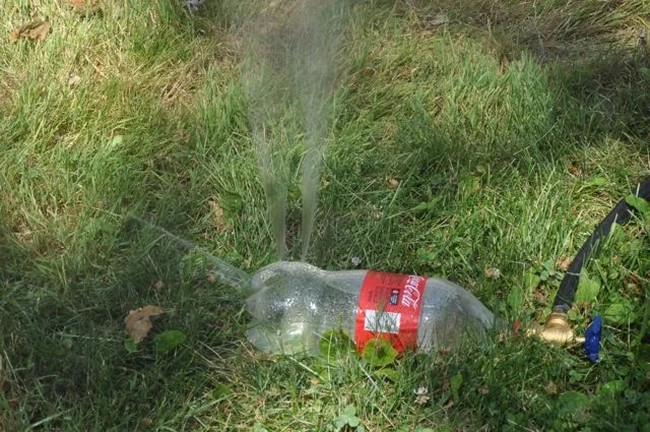 Soda Bottle Sprinkler Craft Idea